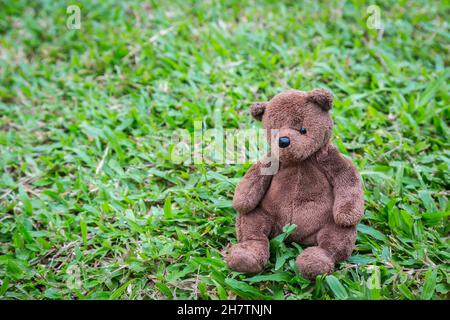 Braune Bärenpuppe sitzt allein auf dem Rasen Hintergrund Stockfoto