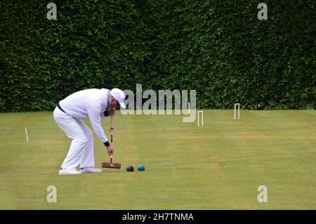 Reifer Mann trifft Ball mit Holzschläger auf dem Croquet Lawn in Levens Hall & Gardens, Lake District National Park, Cumbria, England, Großbritannien. Stockfoto