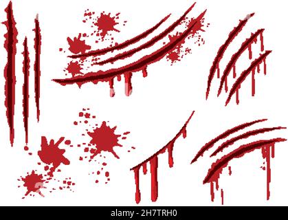 Blutklaue Kratzer Wunden auf weißem Hintergrund Illustration Stock Vektor
