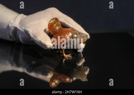 London Großbritannien Donnerstag, 25. November 2021.Ein großes, goldmontiertes Achat-Modell einer Capercalzie von Faberge, St. Petersburgh, um 1900 (Schätzung £50.000-70.000) Paul Quezada-Neiman/Alamy Live News Stockfoto