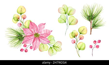 Aquarell Weihnachten Set von Elementen. Transparente poinsettia rosa Blüten, Stechbeeren, Kiefernzweige gesetzt. Abstrakte Komposition für den Winter Stockfoto