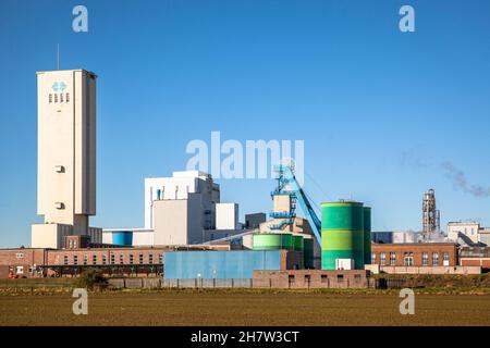 Das Steinsalzbergwerk Borth in Rheinberg-Borth bei Wesel am Niederrhein, Nordrhein-Westfalen, Deutschland. Stockfoto