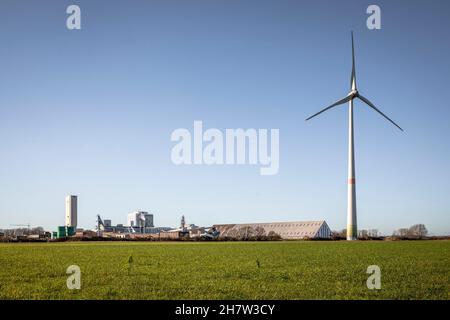 Windturbine vor der Steinsalzmine Borth in Rheinberg-Borth bei Wesel am Niederrhein, Nordrhein-Westfalen, Deutschland. Stockfoto