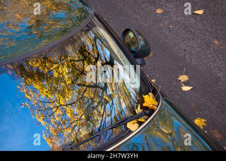 Ein Ahornbaum im Herbst spiegelt sich in der Windschutzscheibe eines Mini, Wetter an der Ruhr, Nordrhein-Westfalen, Deutschland. Ein Ahornbaum im Herbst spielt Stockfoto