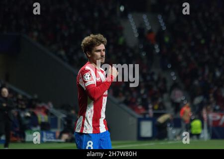 Madrid, Spanien. 24th. November 2021. Griezmann.während des Champions-League-Spiels der Gruppe B zwischen Atlético de Madrid und A.C. Mailand. Sieg von Mailand von 0 zu 1 mit dem Tor von Messia Junior in den Minuten 87 des Spiels. (Foto: Jorge Gonzalez/Pacific Press) Quelle: Pacific Press Media Production Corp./Alamy Live News Stockfoto
