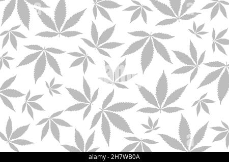 Hellgraue Cannabisblätter in verschiedenen Größen, ungleichmäßig auf weißem Hintergrund gestreut, flache Designdarstellung, Konzept, Idee für medizinisches Marihuana Stockfoto