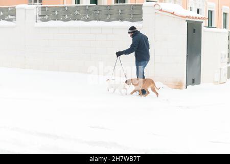 Ein Mann in warmen Kleidern geht zwei Hunde im Schnee, der in der Stadt gefallen ist. Blick auf Personen, die während des kalten Winters in Zamora, Spanien, wandern. Stockfoto