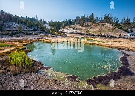 Heißwasserpool im Mud Volcano Thermalgebiet des Yellowstone National Park, Wyoming, USA Stockfoto