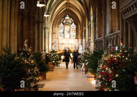 Die Besucher kommen vorbei, während die letzten Feinheiten vor der Eröffnung des berühmten Weihnachtsbaumfestivals in der Lichfield Cathedral in Staffordshire gemacht werden. Die Kathedrale wird mit 45 Weihnachtsbäumen geschmückt, von Wohltätigkeitsorganisationen, Gemeindeorganisationen, Schulen und Unternehmen geschmückt und gesponsert und wird an diesem Wochenende eröffnet. Bilddatum: Donnerstag, 25. November 2021. Stockfoto