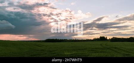 Landschaft. Wunderschöne Sturmwolken über den Wiesen. Vor dem Regen. Horizontales Foto. Stockfoto