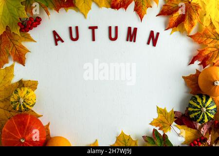 Das Wort Herbst ist in roten Buchstaben dargestellt. Herbst flach liegen. Layout auf weißem Hintergrund aus herbstfarbenen Ahornblättern und dekorativen Kürbissen. Stockfoto