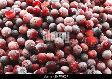 Gefrorene frische rote Preiselbeeren im Raureif, horizontale Nahaufnahme Stockfoto