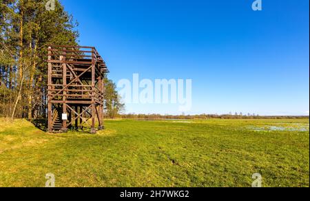 Wizna, Polen - 24. April 2021: Aussichtsplattform mit Panoramablick über die Feuchtgebiete des Flusses Narew und das Naturschutzgebiet im Dorf Zajki in der Woiwodschaft Podlaskie Stockfoto