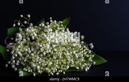 Duftende Blumen, Aromatherapie. Strauß von Waldlilien des Tales auf dunklem Hintergrund. Studio-Foto. Postkarte. Horizontales Foto. Stockfoto