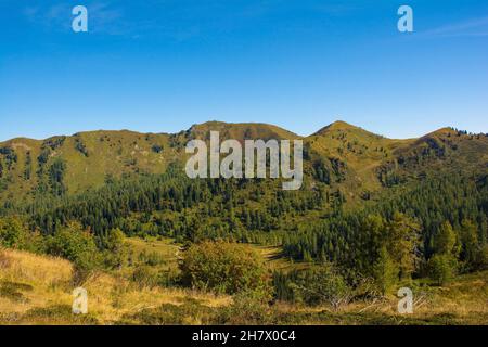 Der Spätsommer - Frühherbstlandschaft in der Nähe von Sauris di Sopra, Provinz Udine, Friaul-Julisch Venetien, Nordostitalien Stockfoto