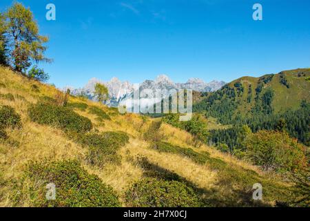 Der Spätsommer - Frühherbstlandschaft in der Nähe von Sauris di Sopra, Provinz Udine, Friaul-Julisch Venetien, Nordostitalien Stockfoto