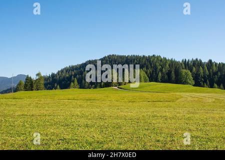 Die Spätsommerlandschaft in der Nähe des Alpendorfes Sauris di Sopra, Provinz Udine, Friaul-Julisch Venetien, Nordostitalien Stockfoto