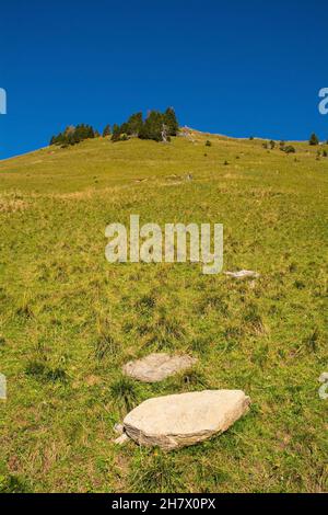 Die Hänge des Monte Morgenleit bei Sauris di Sopra, Provinz Udine, Friaul-Julisch Venetien, Nordostitalien. Ende September Stockfoto