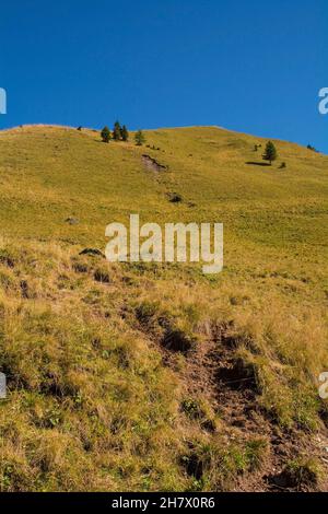 Die Hänge des Monte Morgenleit bei Sauris di Sopra, Provinz Udine, Friaul-Julisch Venetien, Nordostitalien. Ende September Stockfoto