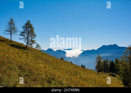 Die Hänge des Monte Morgenleit bei Sauris di Sopra, Provinz Udine, Friaul-Julisch Venetien, NE-Italien. Sauris Valley im Hintergrund. Ende September Stockfoto