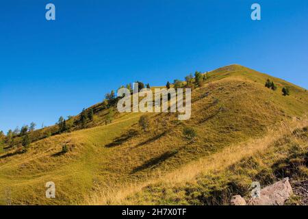 Die Hänge des Monte Morgenleit bei Sauris di Sopra, Provinz Udine, Friaul-Julisch Venetien, Nordostitalien. Ende September Stockfoto