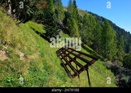 Lawinenbarrieren aus Metall an den unteren Hängen des Monte Morgenleit bei Sauris di Sopra, Provinz Udine, Friaul-Julisch Venetien, Nordostitalien. Ende September Stockfoto