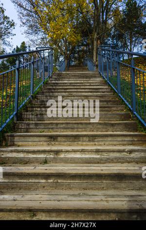 Holztreppe mit Edelstahlgeländer im Park Stockfoto