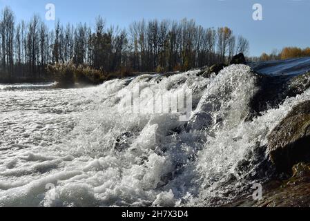 Fließendes Wasser auf Wehranlagen mit Felsen und Bäumen in der Nähe der alten Donau im Herbst Stockfoto