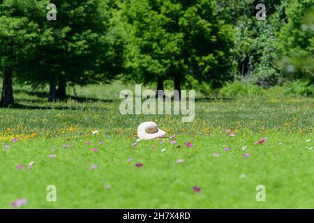 Hut mit breiter Krempe auf dem Kopf einer Frau, die im Feld der Wildblumen sitzt Stockfoto
