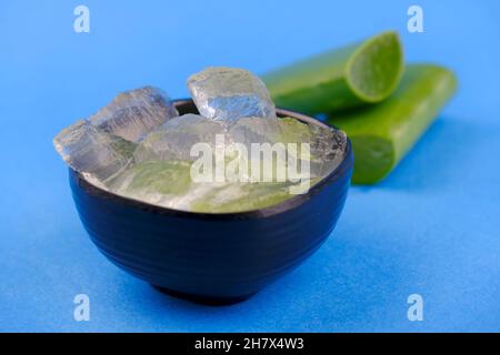 Nahaufnahme von Bio-grünen frischen Aloe Vera transparentem Gel in Schale, isoliert über weiß, Licht durchdringt transparentes Gel, Hautpflegeprodukt. Stockfoto