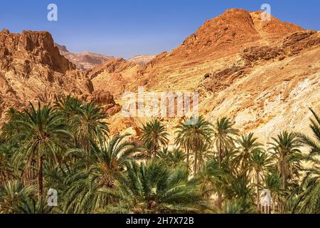 Blick auf die Bergoase von Shebika, mitten in der Sahara-Wüste, Tunesien Stockfoto