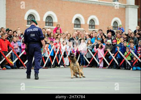 Wien, Österreich. 27. September 2014. Offenes Haus der Wiener Polizei. Zeigen Sie das Programm mit der Hundeeinheit des Polizeidienstes Stockfoto