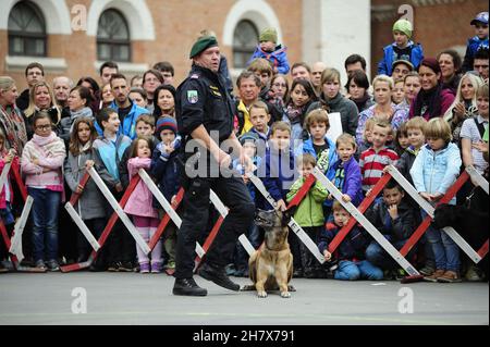 Wien, Österreich. 27. September 2014. Offenes Haus der Wiener Polizei. Zeigen Sie das Programm mit der Hundeeinheit des Polizeidienstes Stockfoto