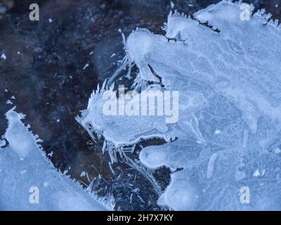 Nahaufnahme von Eis an einem kalten Novembermorgen, der sich auf der Wasseroberfläche in einem Bach zu bilden beginnt. Stockfoto