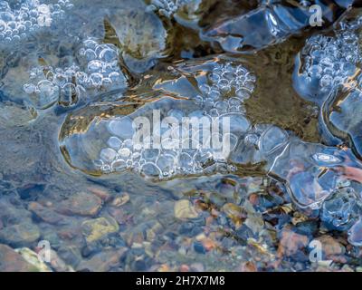 Nahaufnahme von Eis an einem kalten Novembermorgen, der sich in einem Bach auf der Wasseroberfläche mit eingefrorenen Luftblasen bildet. Stockfoto