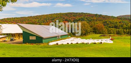 Solarpaneele auf dem Farmdach zur Stromversorgung von Farmgebäuden Stockfoto