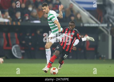 Leverkusen, Deutschland. 25th Nov, 2021. firo: 25.11.2021, Fuvuball, UEFA Europa League, League, EL Season 2021/2022, Gruppenphase, Bayer Leverkusen - Celtic FC Glasgow Duels, Moussa Diaby Credit: dpa/Alamy Live News Stockfoto