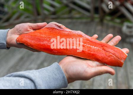 Makro-Nahaufnahme von Menschenhänden, die rohen Sockeye-Lachs zeigen, der zuvor gefrorenes Filet im Supermarkt von einem Metzger draußen gekauft hatte Stockfoto