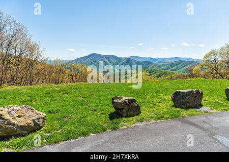 Blue Ridge parkway Wintergreen Resort Town Mountains im Frühling Frühling sonniger Tag mit gelben Waldelonen Wildblumen am Blackrock Drive überblicken und Stockfoto