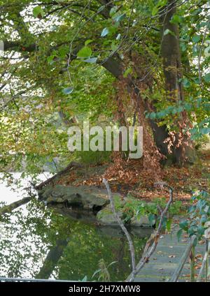Eine kleine Insel im Fluss Werre in NRW. Es ist Herbst, aber die Bäume sind immer noch grün. Es gibt eine kleine Brücke. Stockfoto