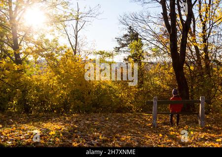 Knabenkind sitzt auf der Bank und schaut im Herbst der Sonne entgegen Stockfoto