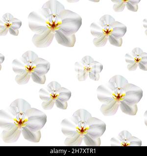 Exotische weiße Phalaenopsis Orchideen blühen. Nahtloses Muster mit tropischen Orchideenblüten isoliert auf weiß. Florales Vektor-Muster für Einladungen, ca. Stock Vektor