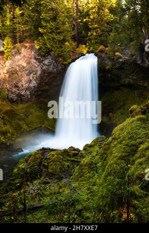 Sahalie fällt auf den McKenzie River im Zentrum von Oregon Stockfoto