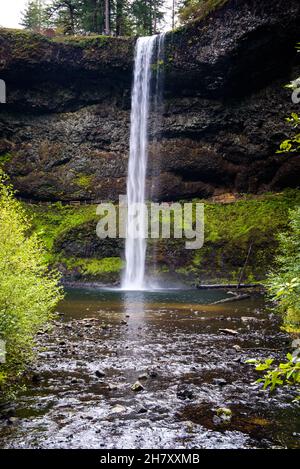 Silver Creek und South Falls im Silver Falls State Park Stockfoto