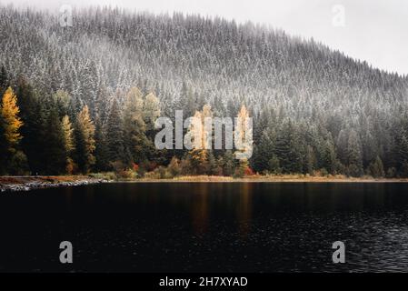 Berg Wald bedeckt von Schnee am Trilium See Stockfoto