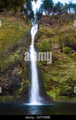 Schachtelhalm fällt entlang der columbia River Schlucht Stockfoto