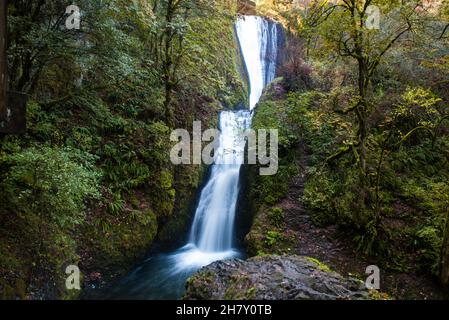 Bridal Schleis fällt entlang des columbia River in Oregon Stockfoto