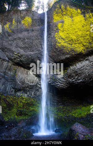 Der untere Latourell fällt entlang der columbia River Gorge in oregon Stockfoto