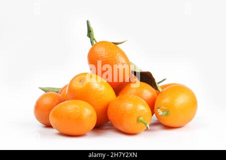 Haufen orangefarbener Kumquats, isoliert auf weißem Hintergrund. Saftige Früchte Stockfoto