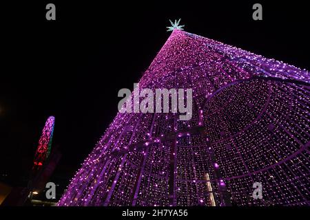 Die jährlichen Winterlichter sind nach Wembley zurückgekehrt, mit dem höchsten LED-Weihnachtsbaum (25m) in Großbritannien und vielen Lichtinstallationen. Die Lichter wurden am 25th. November von Strictly Come Dancing Superstar Neil Jones eingeschaltet, verschiedene Aufführungen fanden auf der Bühne und in anderen Bereichen rund um Olympic Way statt. Findet zwischen Donnerstag, 25th. November 2021, und Dienstag, 4th. Januar 2022 statt. Der Wembley Park ist Londons aufregendste neue Nachbarschaft. Der Wembley Park, der bereits die SSE Arena, Wembley, das Troubadour Wembley Park Theatre und das Wembley Stadium beherbergt, baut auf seinem internationalen Ruf auf. Stockfoto